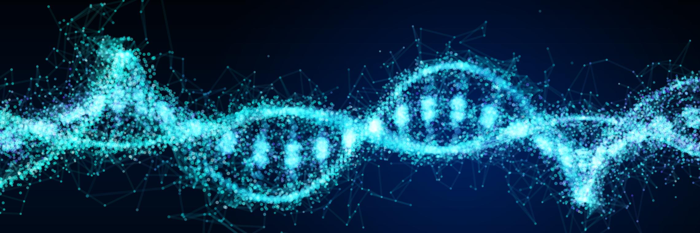 Menschliche DNA mit den Erbinformationen.